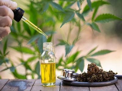 Hemp Oil Market 2020-Global Size, Key Companies, Revenue, Growth, Trends, Statistics and 2026 Forecasts Research