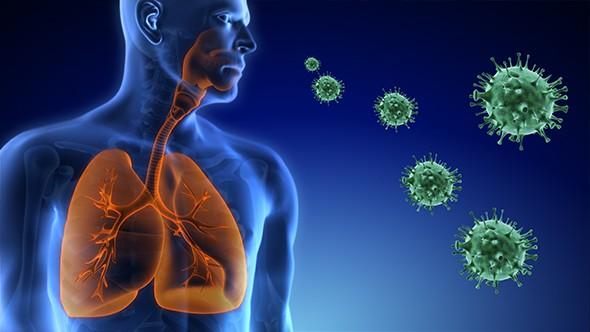 Respiratory Syncytial Virus Diagnostics Market