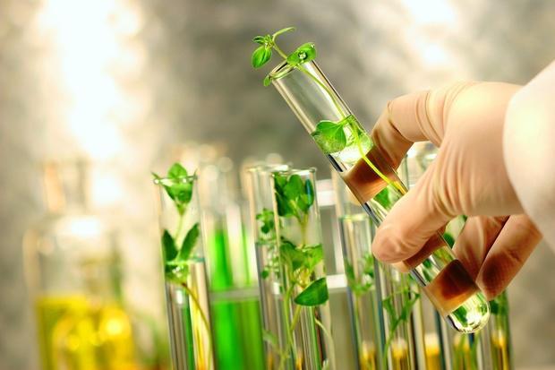 Expansive evaluation of the Global Biotechnology Separation Systems Market including market size forecast