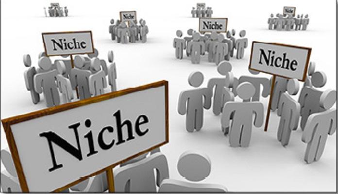 Niche Insurance market