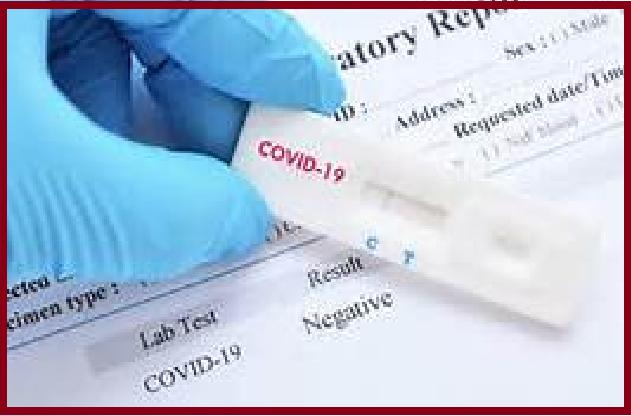 Covid-19 Diagnostic Market Growth Analysis