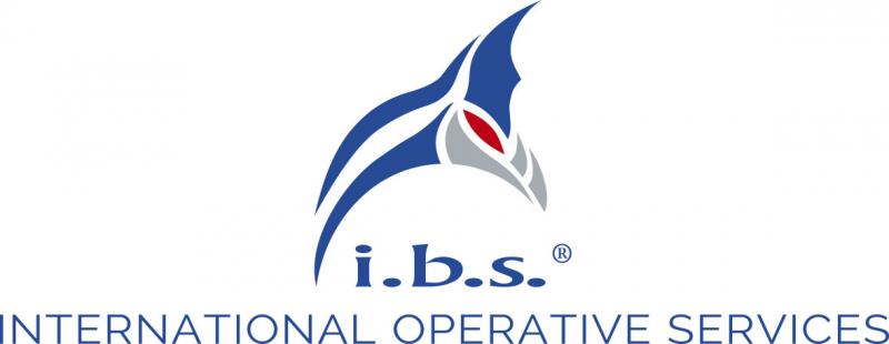 i.b.s. company logo