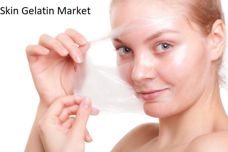 Skin Gelatin Market - Premium Market Insights