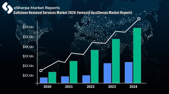 Gallstone Removal Services Market 2020: Industry Size & Share