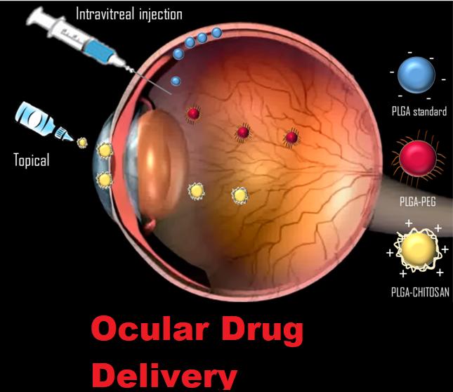 Ocular Drug Delivery Market