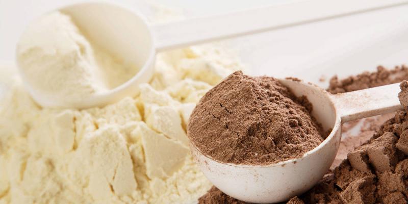 Protein Ingredients Market