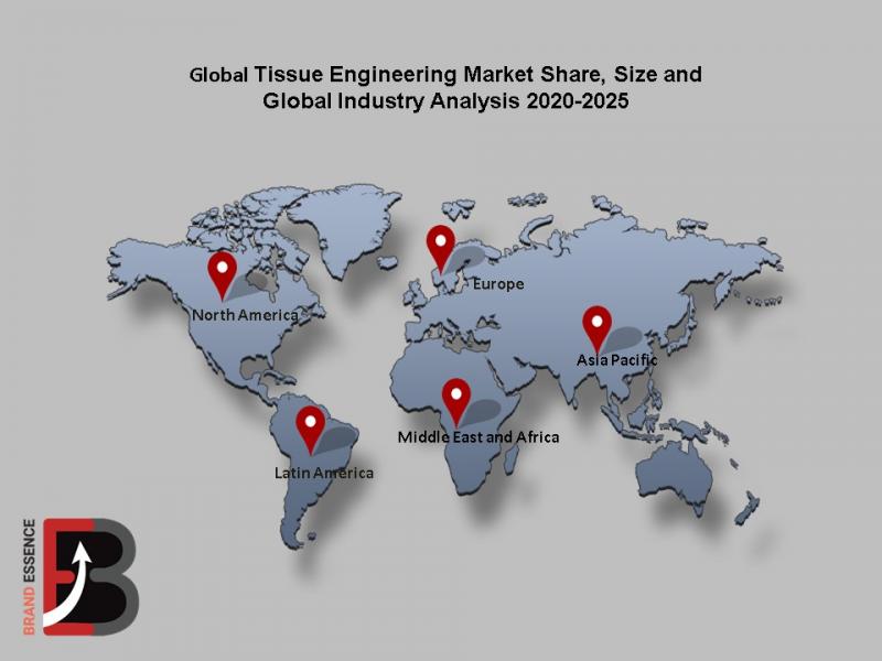 Tissue Engineering Market, Tissue Engineering Market Size, Tissue Engineering Market Share, Tissue Engineering Market Growth