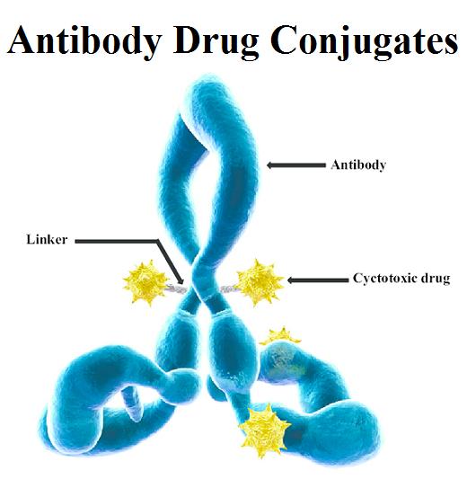 Antibody Drug Conjugates Market