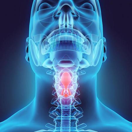 Head And Neck Cancer Drugs/Therapeutics Market