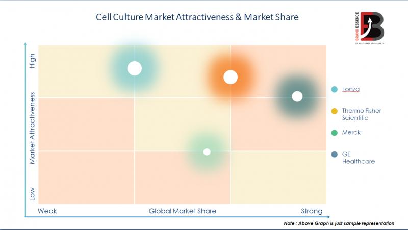 Cell Culture Market, Cell Culture Market Size, Cell Culture Market Share, Cell Culture Market Growth