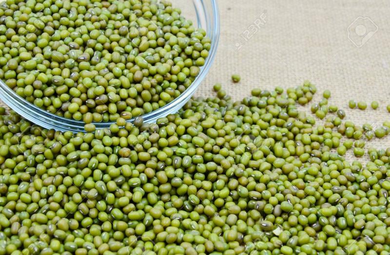 Mung Bean Protein Market Size, Share, Development by 2025