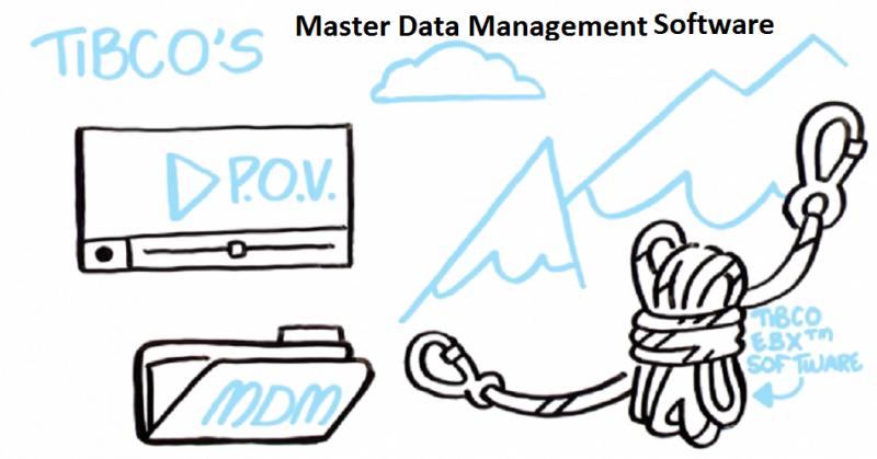 Master Data Management Software