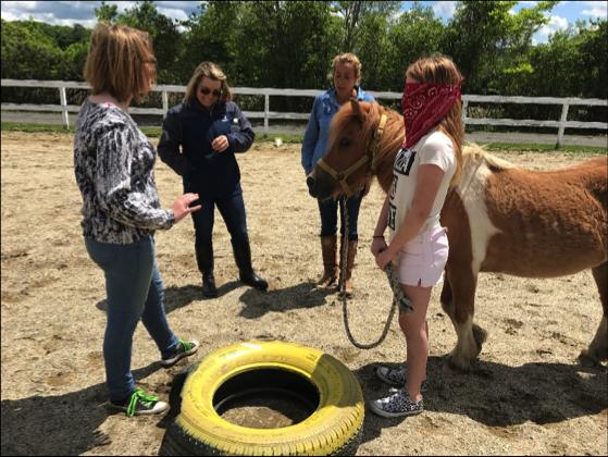 HORSE-POWERED HEALING: BERKSHIRE HORSEWORKS REOPENS WITH