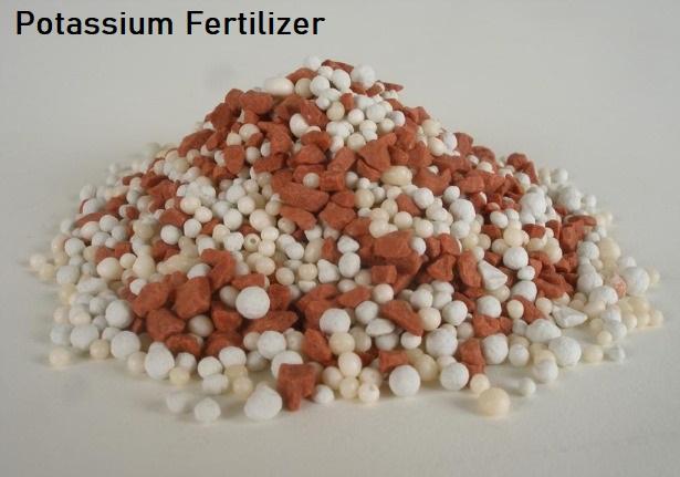 Potassium Fertilizer
