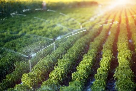 Agricultural Anti-Transpirant , Agricultural Anti-Transpirant Market, Agricultural Anti-Transpirant Market Analysis