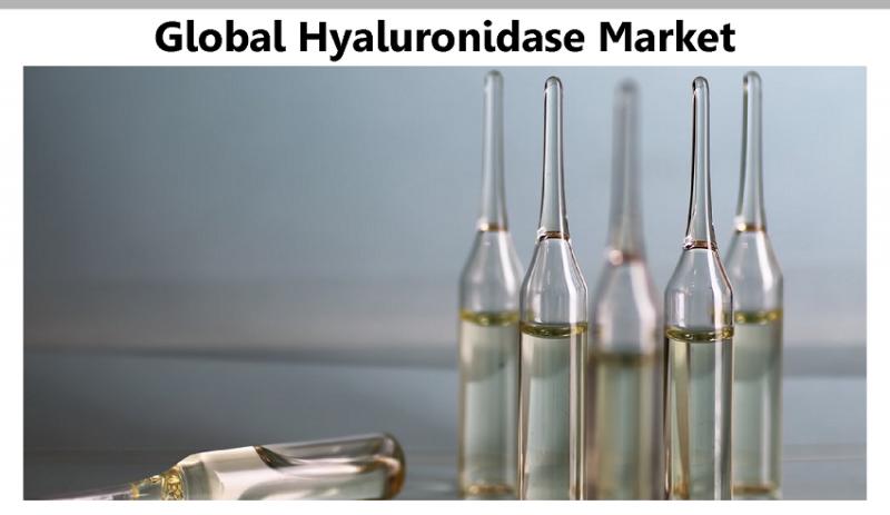 Hyaluronidase Market Size, Share, Growth, Research