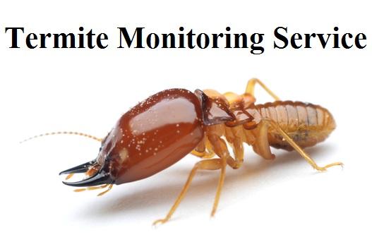 Termite Monitoring Service Market