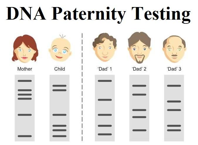 DNA Paternity Testing Market
