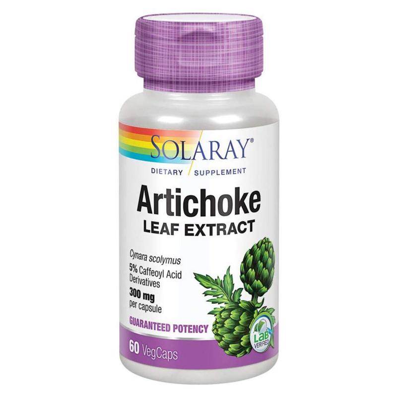 Artichoke Leaf Extract Market Size, Share, Development by 2025