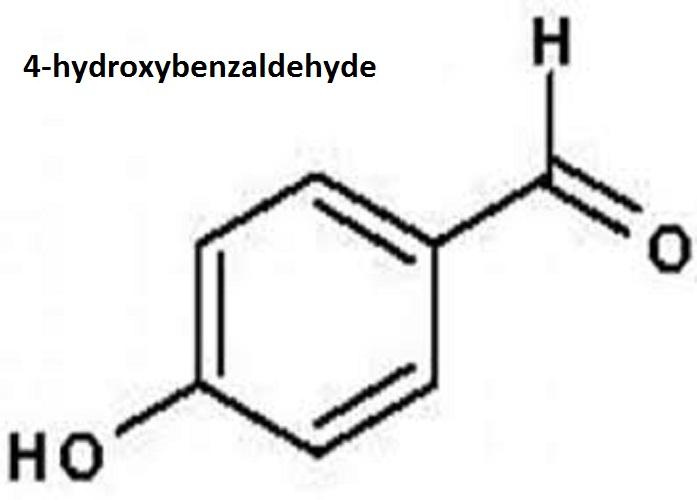 4-Hydroxybenzaldehyde