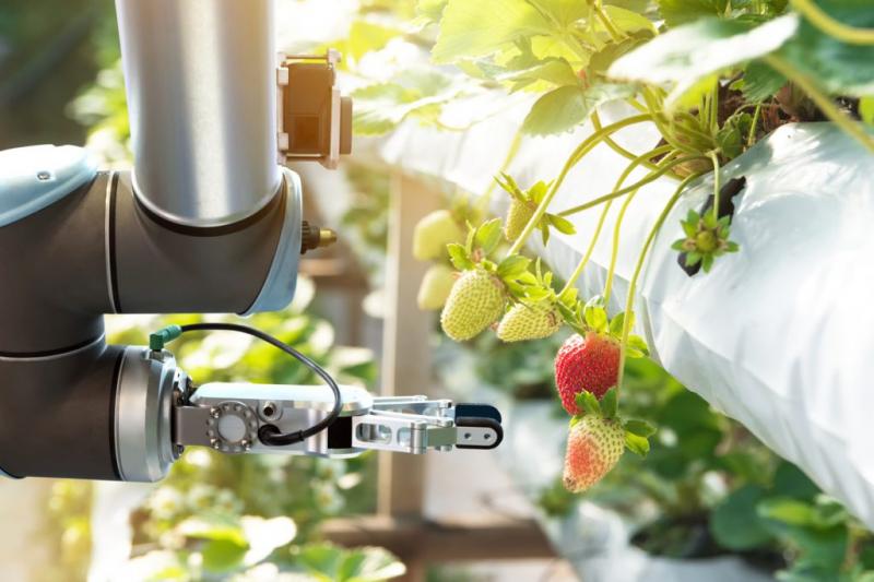 Agricultural Robots Market The Fourth Farming Revolution