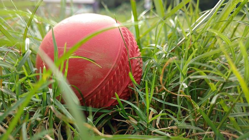 Cricket Equipment Market