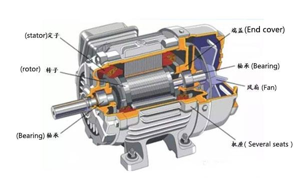 Squirrel-cage Induction Motor Market: Competitive Dynamics &