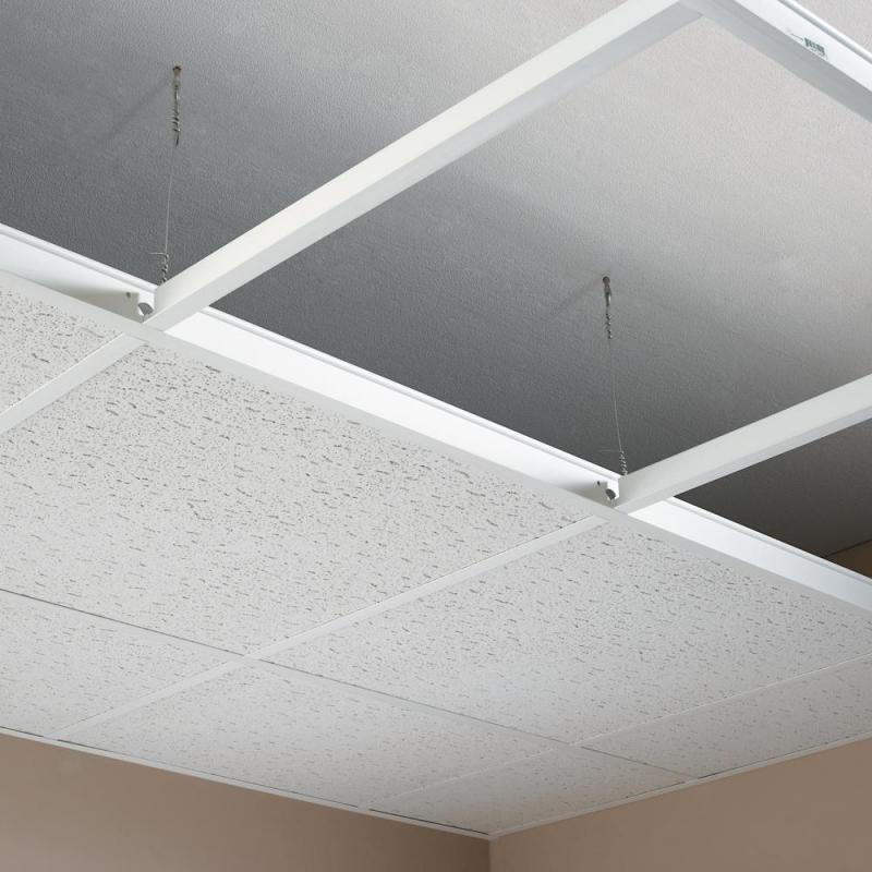 Suspended Ceiling Market Size, Share, Development by 2025