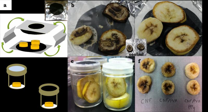 Bio-based Packing