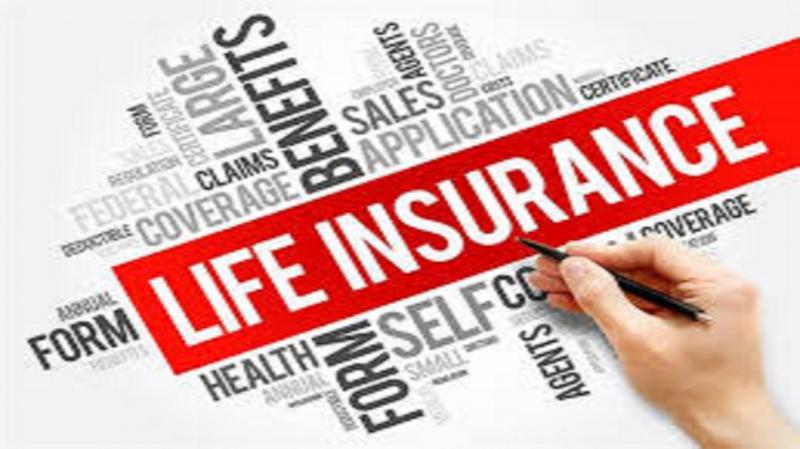 Life Insurance Market