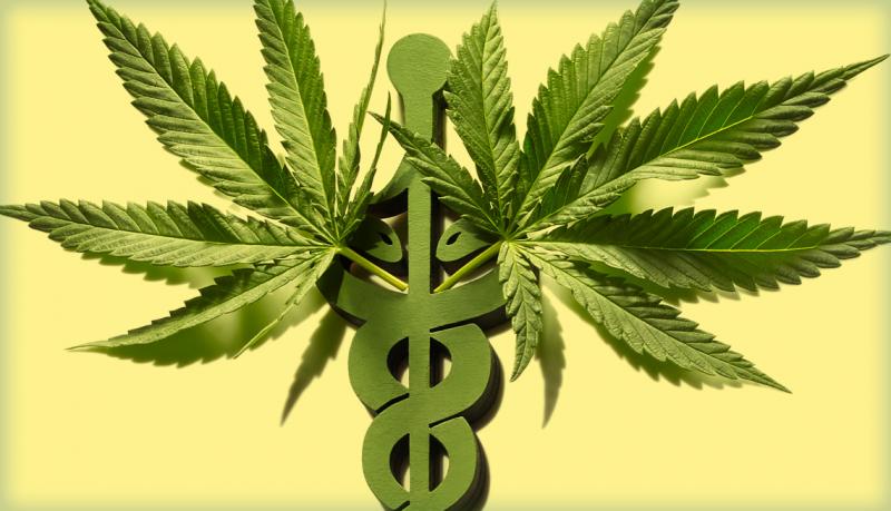 Medical Cannabis Market