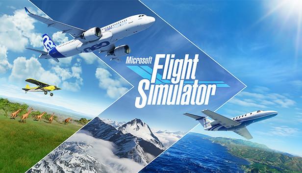 Flight Simulator Market