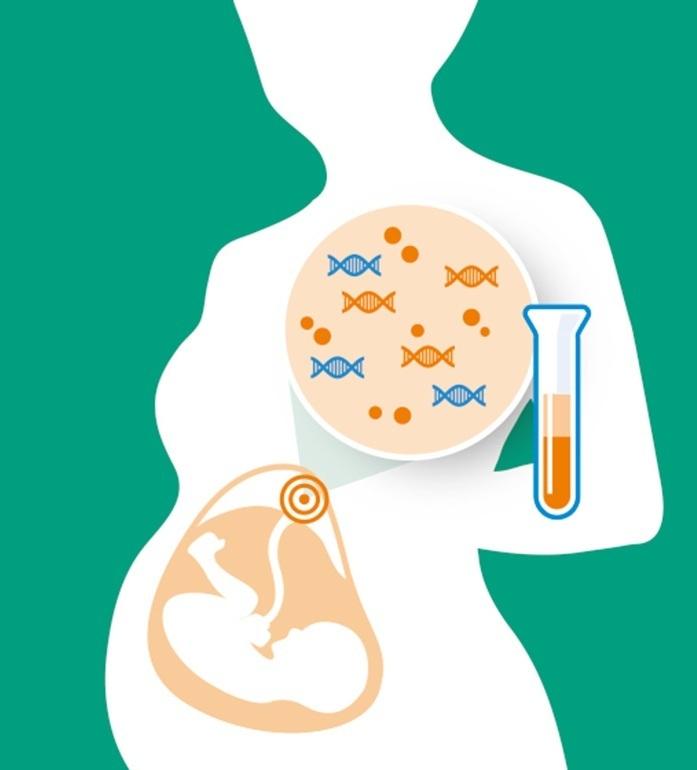 Noninvasive Prenatal Testing Market Report Global Key Players, Types, Applications, Countries by Forecast Year 2020-2027 | GE Heal