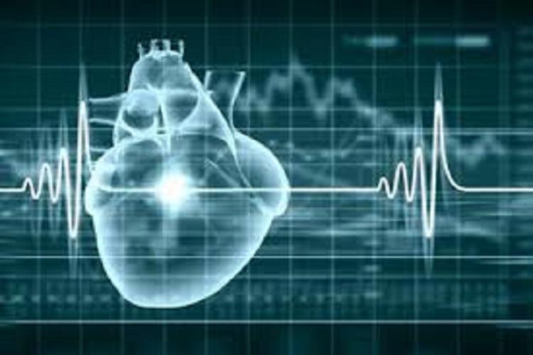 Electrophysiology