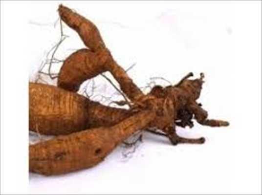 Kudzu Root P.E. Market