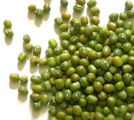 Global Mung Bean Sprouting Seed Market Analysis by 2020-2025