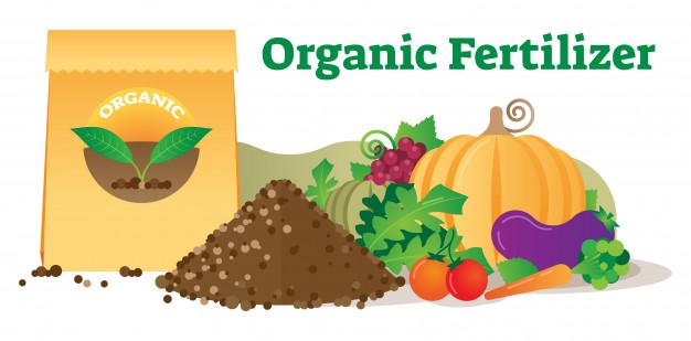 Biofertilizers Market, Biofertilizers Market Size, Biofertilizers Market Trends, Biofertilizers Market Forecast, Biofertilizers Ma