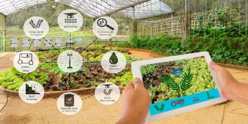 Intelligent Greenhouse ,Intelligent Greenhouse Market, Intelligent Greenhouse Market Analysis