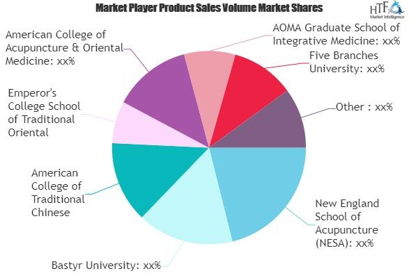 Traditional Chinese Medicine Lessons Market