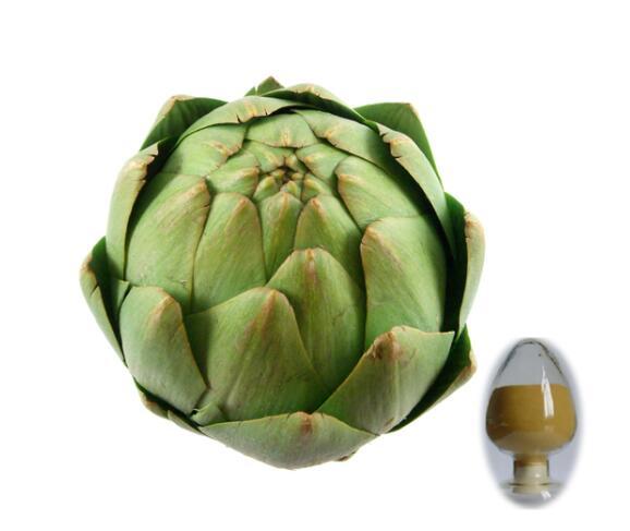 Global Artichoke Extract Market Status and Outlook (2020-2025)