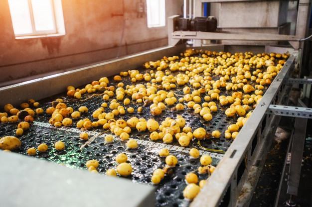 Global Potato Processing Market, Global Potato Processing Market research, Global Potato Processing Analysis, Global Potato Proces