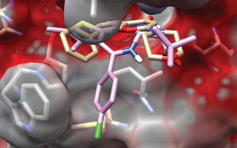 Cancer Tubulin Inhibitors Market Competitive Insights with Global Outlook 2020-2026| Abraxis Biosciences,Agensys,Amgen,Celgene,End