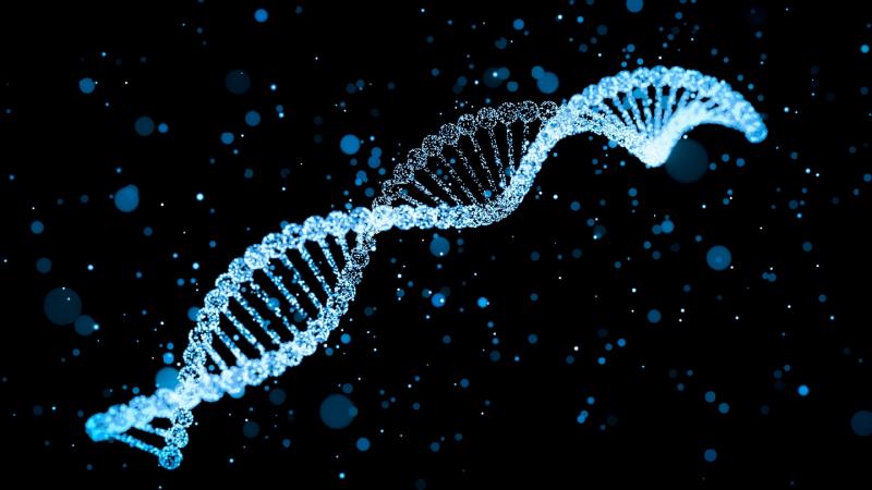 Viral Vector and Plasmid DNA Manufacturing