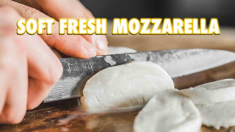 Fresh Mozorella Market - Premium Market Insights