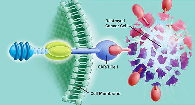 CAR T Cell Therapy Market