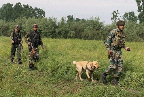 Army dog with soldiers