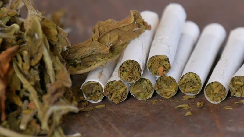 Roll Your Own Tobacco Market Outlook Poised For A Strong 2021   U202339994 G 