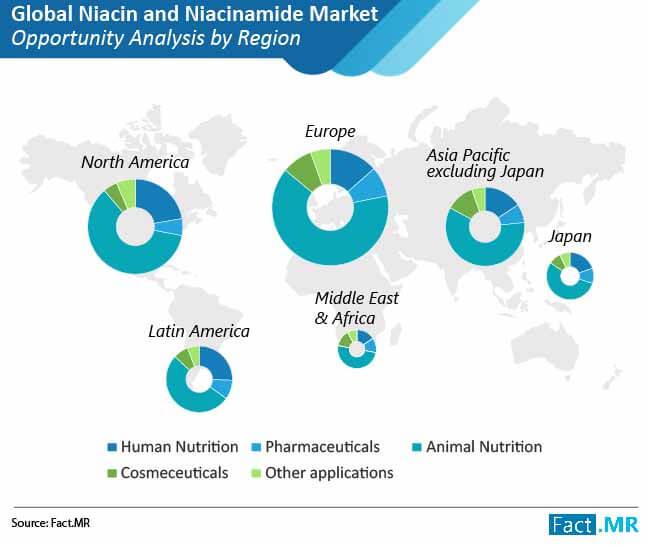 Europe to Remain Prominent in Global Niacin and Niacinamide