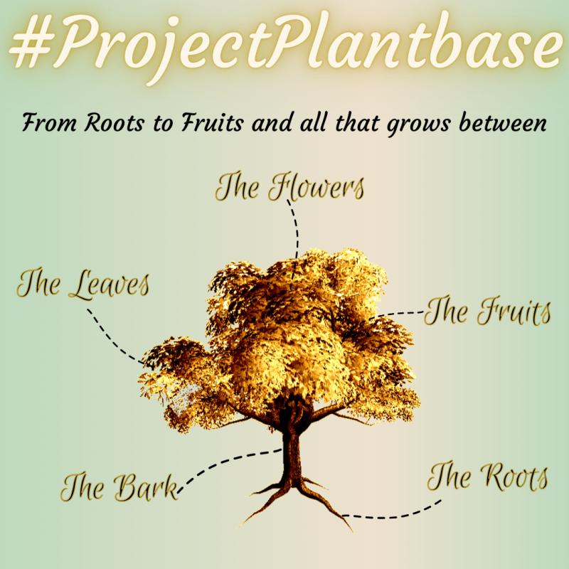 #ProjectPlantBase