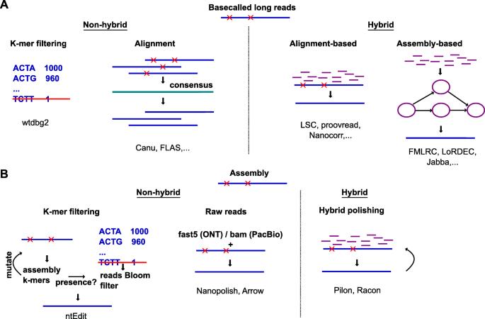 Long Read Sequencing Market